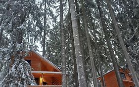 Chalet Hay Huy